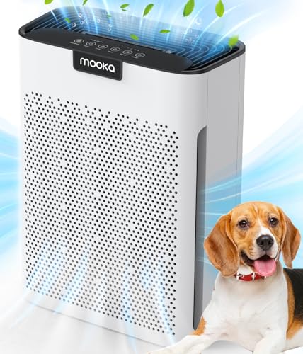 Air Purifier with Carbon Filter